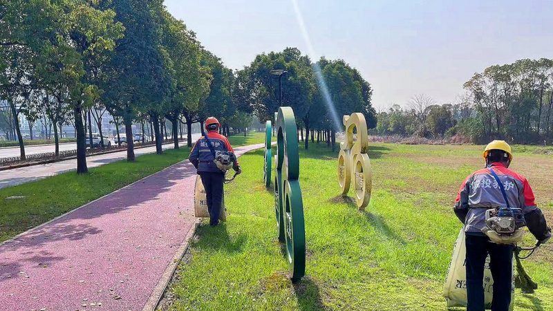 苗木种植基地批发价格表揭秘：如何理性选择？**
