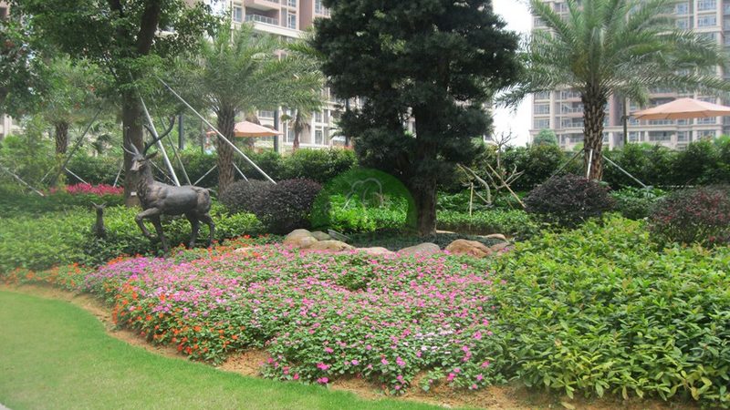 上海小区绿化养护管理规范全解析