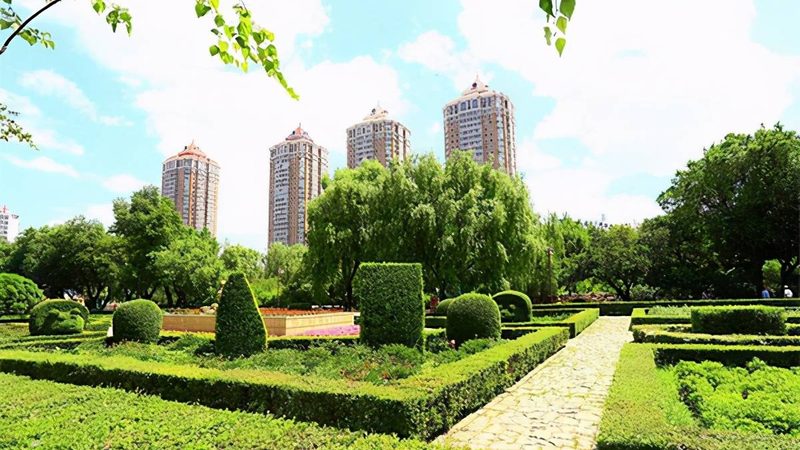 市政绿化养护招标：关键要求与注意事项**