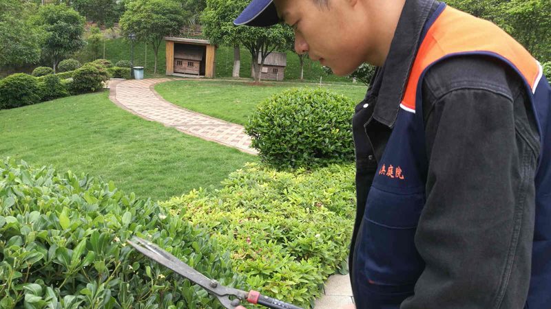 园林景观设计合同模板：电子版解析与关键要素**