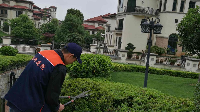 立体绿化墙：比普通绿植更胜一筹的秘密**