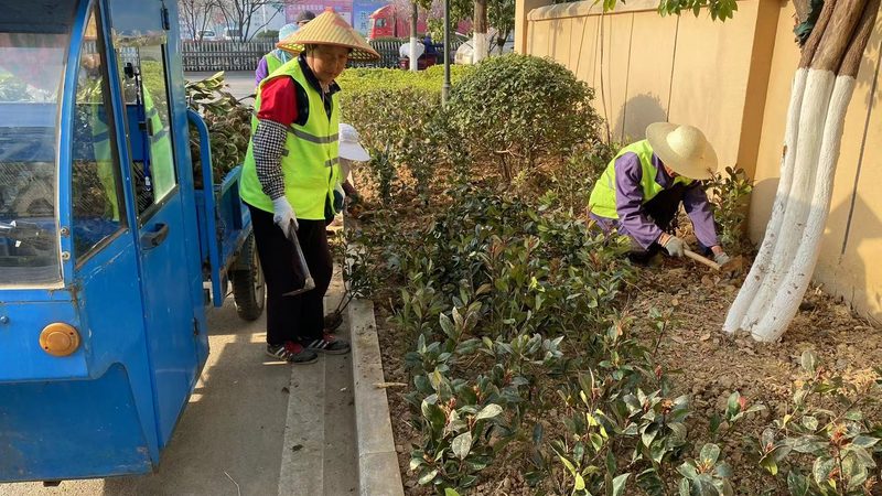 上海办公花卉租摆流程解析：从选品到养护，一步到位**
