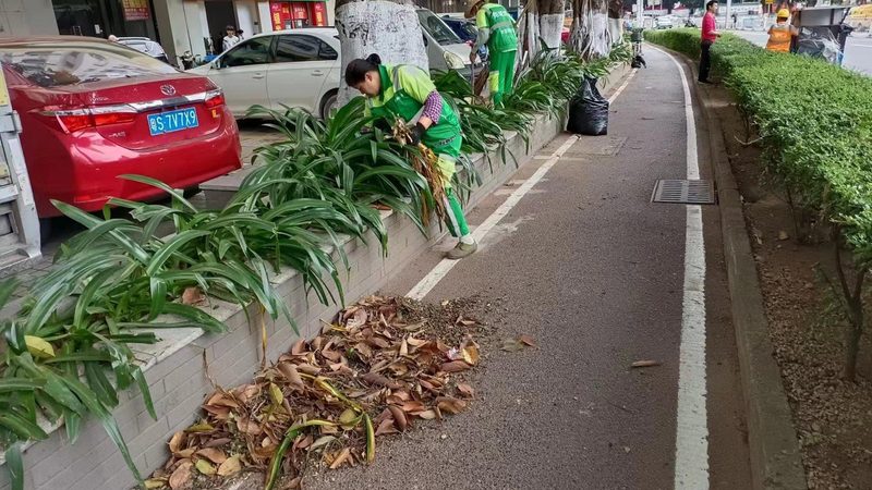 道路绿化带下沉式绿地排水设计的要点解析