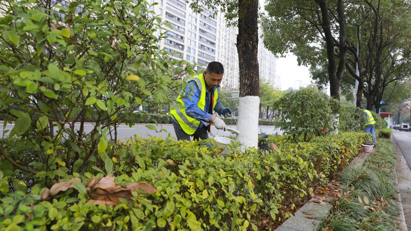 花卉租摆方案设计：标准规范与实施要点